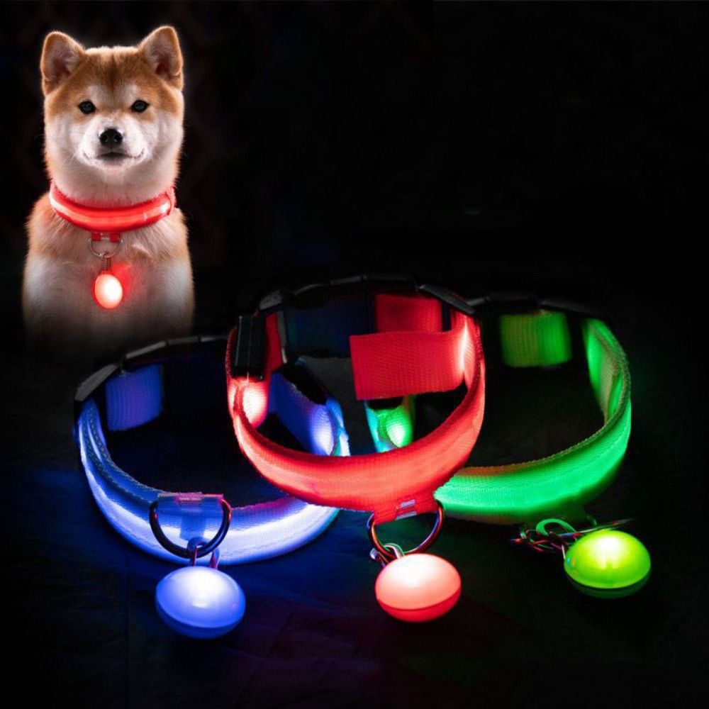 USB 충전식 발광 강아지 목줄, 펜던트 탈부착 가능, - Tech Dog Accessories 리뷰 및 가격