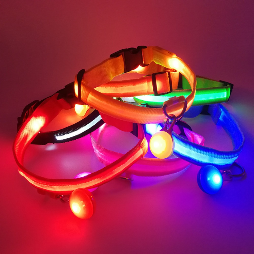 USB 충전식 발광 강아지 목줄, 펜던트 탈부착 가능, - Tech Dog Accessories 리뷰 및 가격