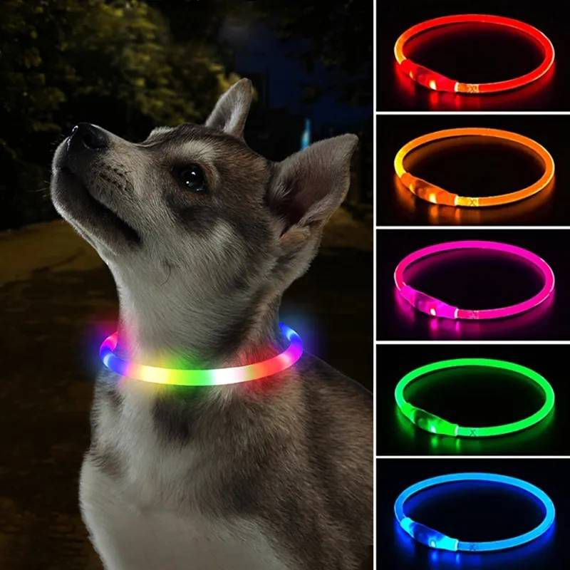 3 가지 모드 개 Luminou 충전 칼라 Led Us - Tech Dog Accessories 리뷰 및 가격