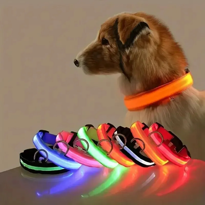 나일론 LED 야간 안전 발광 야광 개 목줄 야광 형광 - Tech Dog Accessories 리뷰 및 가격