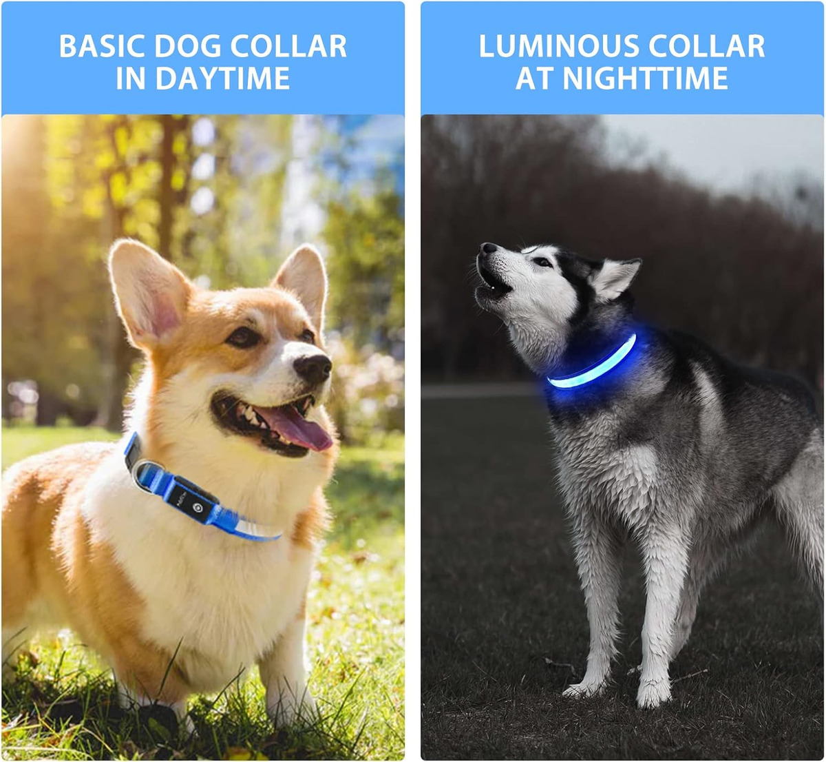 USB LED 강아지 목걸이 조명 - 조절 가능한 편안 - Tech Dog Accessories 리뷰 및 가격
