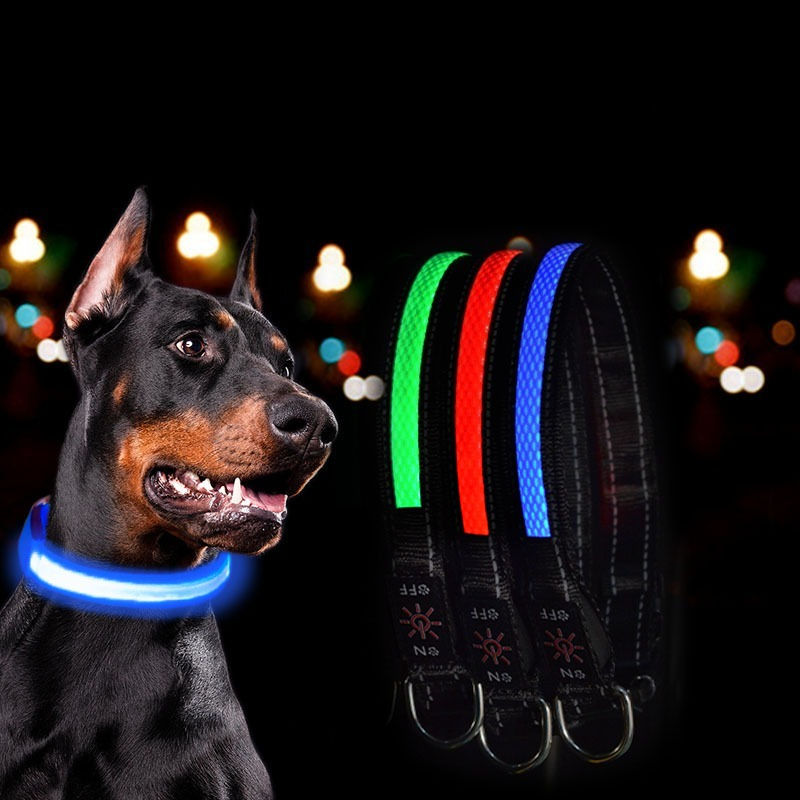 USB LED 강아지 목걸이 조명 - 조절 가능한 편안 - Tech Dog Accessories 리뷰 및 가격