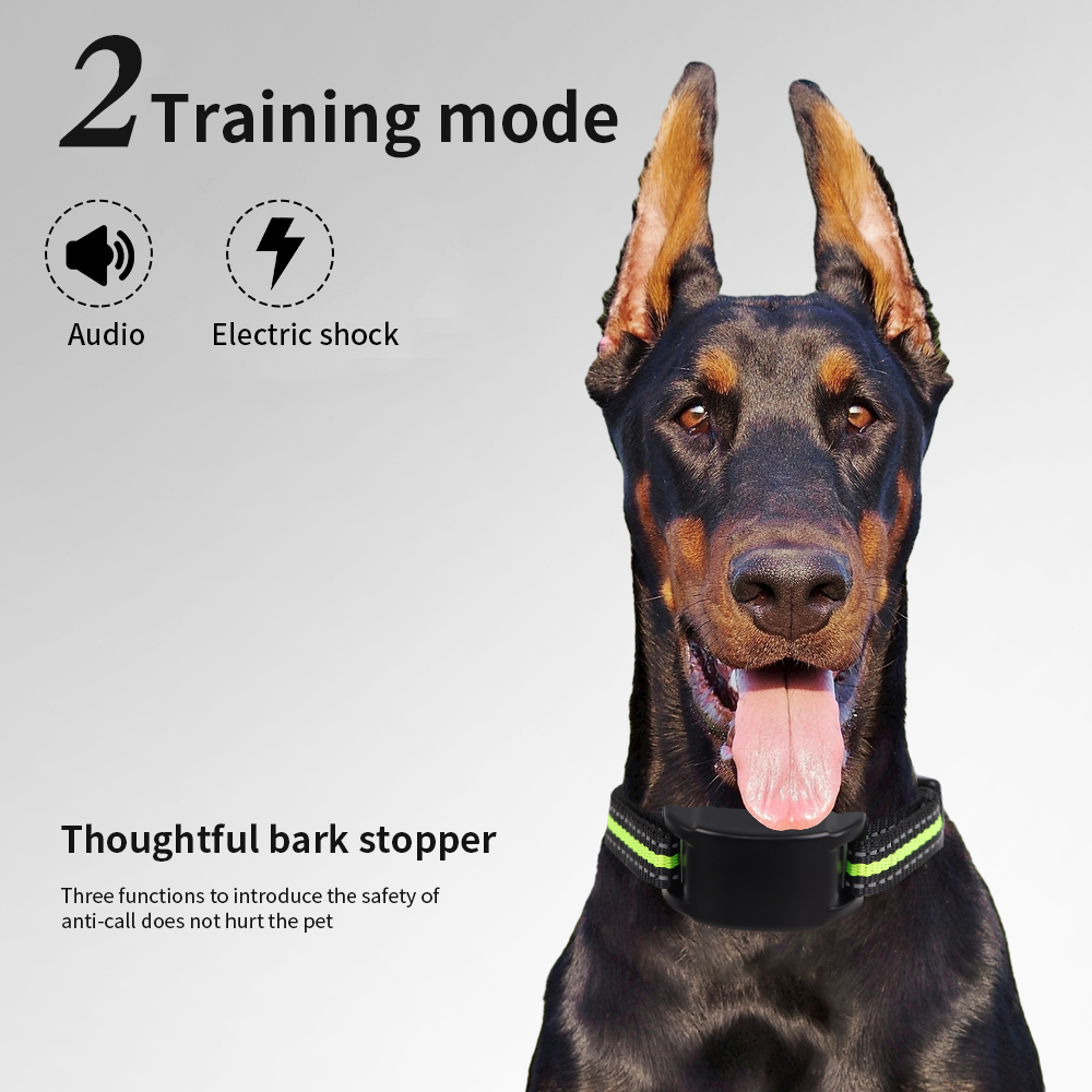 소형견 대형견용 LED 조명, 전기 충격, 진동, 소리 - Tech Dog Accessories 리뷰 및 가격