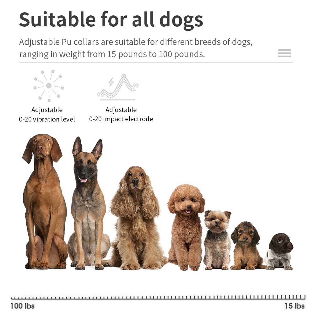 소형견 대형견용 LED 조명, 전기 충격, 진동, 소리 - Tech Dog Accessories 리뷰 및 가격