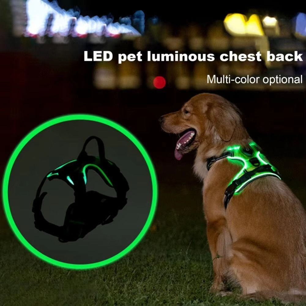 내구성 있는 LED 발광 강아지 하네스, 조절 가능한  - Tech Dog Accessories 리뷰 및 가격