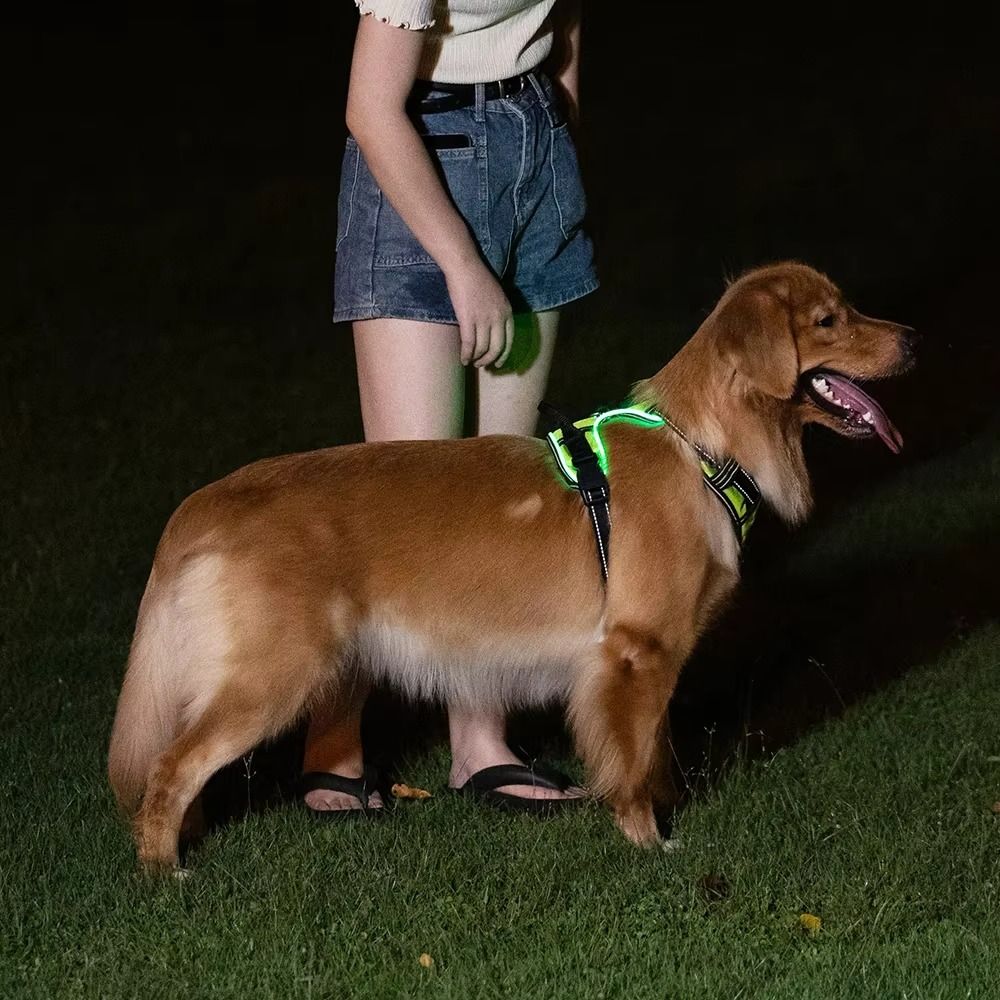 내구성 있는 LED 발광 강아지 하네스, 조절 가능한  - Tech Dog Accessories 리뷰 및 가격