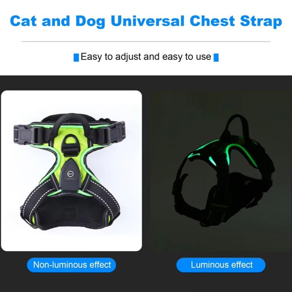 내구성 있는 LED 발광 강아지 하네스, 조절 가능한  - Tech Dog Accessories 리뷰 및 가격
