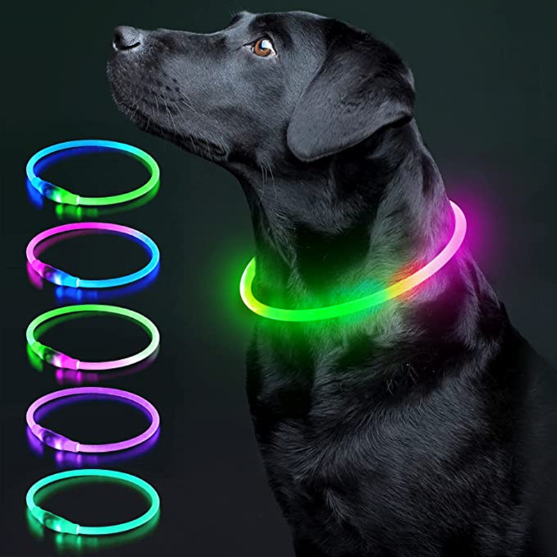 빛나는 개 목걸이 빛 충전 고양이 목걸이, Led 패션 - Tech Dog Accessories 리뷰 및 가격