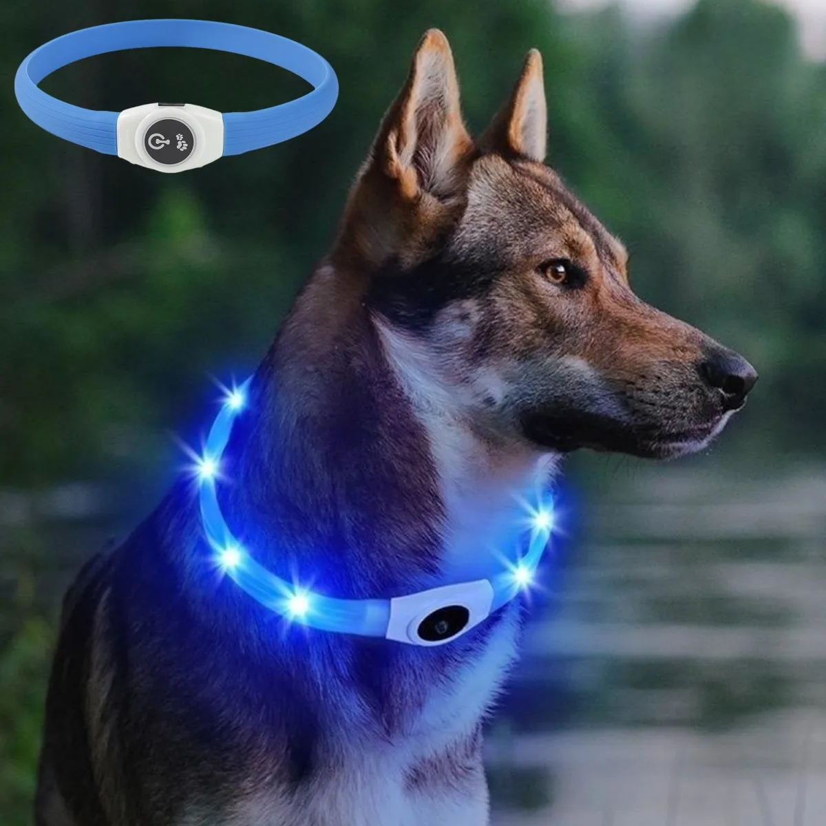 새로운 Led 빛나는 개 목걸이 PVC 방수, 대형 중 - Tech Dog Accessories 리뷰 및 가격