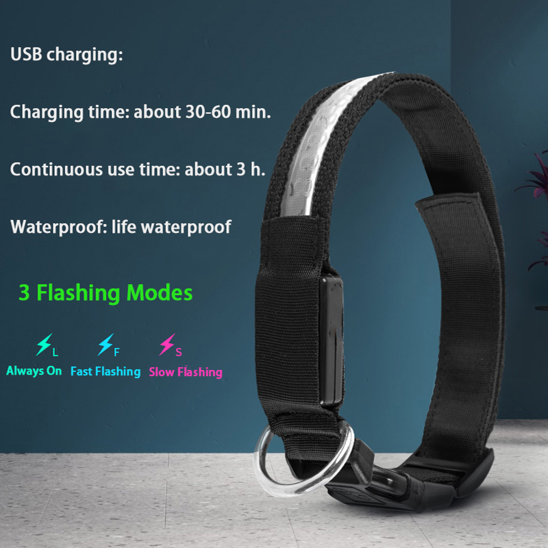 새겨진 ID LED 개 목걸이 빛나는 USB 사용자 정 - Tech Dog Accessories 리뷰 및 가격