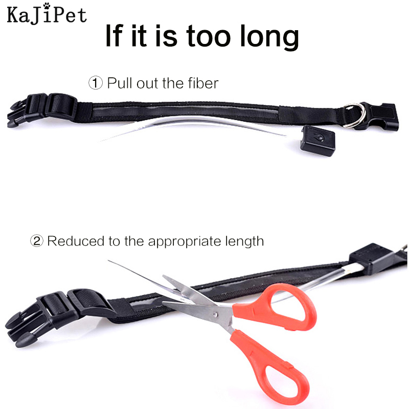 새겨진 ID LED 개 목걸이 빛나는 USB 사용자 정 - Tech Dog Accessories 리뷰 및 가격
